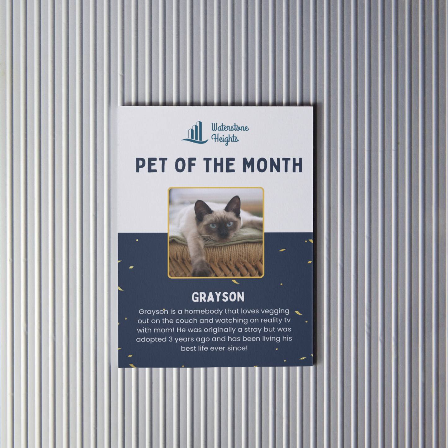 Pet of the Month Flyer Template